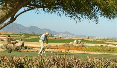 Desert Springs Golf Club