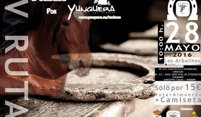 Ruta a caballo por el paraíso del pinsapo