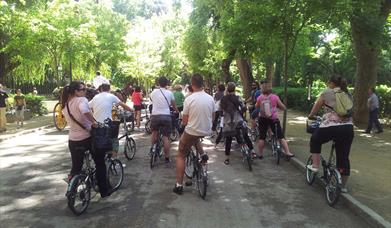 Visita en bicicleta por Sevilla