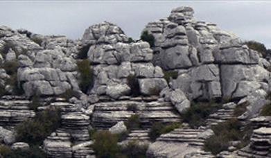 Día Mundial de la Astronomía en el Torcal