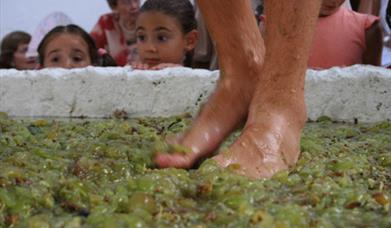 Fiesta de la Vendimia en Manilva