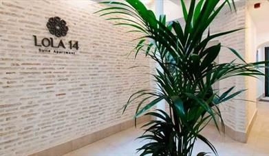Apartamentos Lola 14 Suite  Apartment