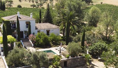 Bodega Huerto de la Condesa