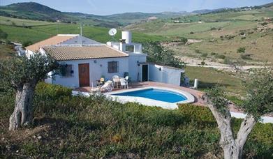 Posada HumbleBee Home