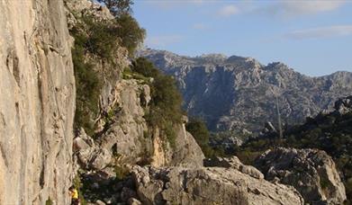 Pangea Active Nature