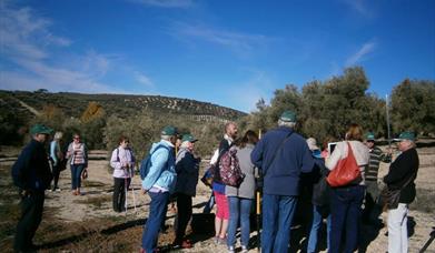 Andalucía Experiencies