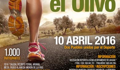 Media Maratón 'La Cal y el Olivo'