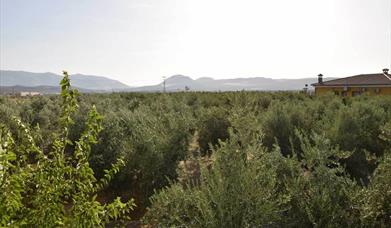 Tercio de las Torres