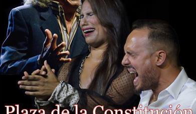 Festival Flamenco de Huércal de Almería