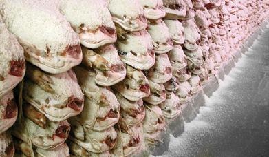 Jamones Vallejo - Trevélez Selección