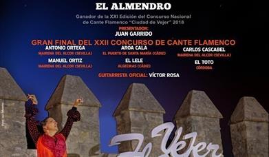 Noche Flamenca de Vejer