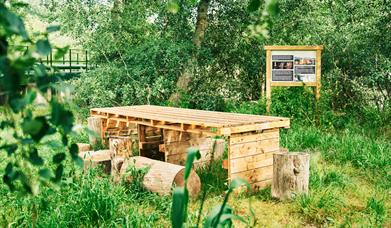 Oleoturismo Aires de Jaen