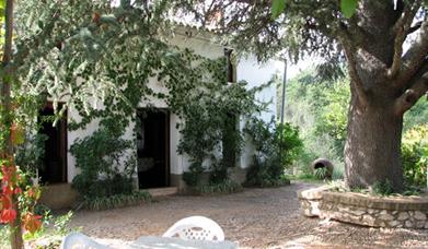 Vivienda Rural Casa del Cedro