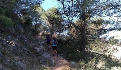 Málaga Tour Running