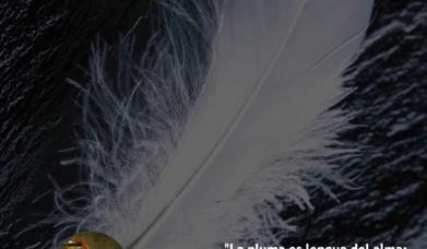 Festival Alma de Almócita