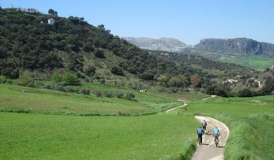 Cortijo La Rejertilla