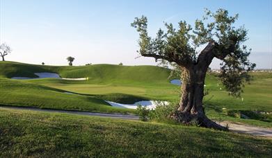 Golf El Puerto