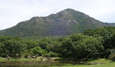 Yacimiento Laja de los Hierros