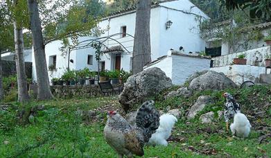 Vivienda Rural La Bodeguilla