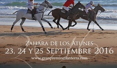 Gran Premio Atlanterra Polo & Derby