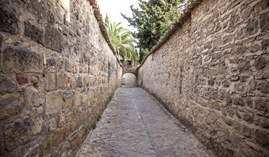 Callejones de la Catedral