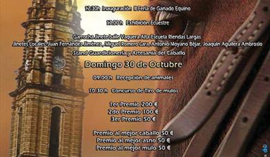 Feria de Ganado Equino Ciudad de Bujalance