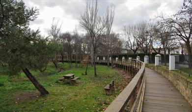 Parque municipal de albendín