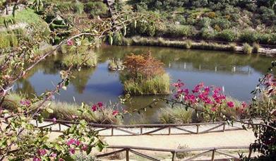 Parque Botánico José Celestino Mutis