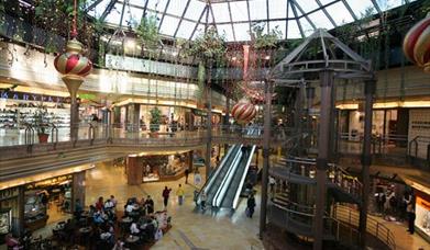 Centro Comercial La Rosaleda