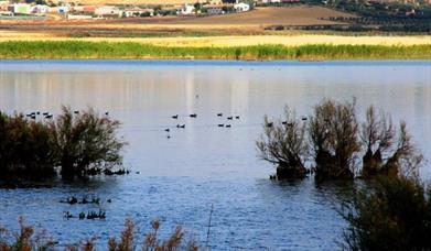 Lagunas de Campillos