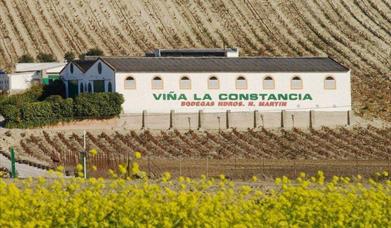 Bodega Herederos Nicolás Martín Viña La Constancia
