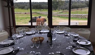 La Capitana Experience Eventos