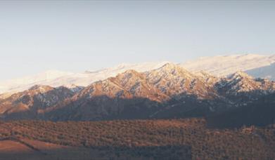 Almazara Quaryat Dillar