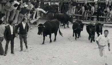 Feria, Fiestas y Encierros de Castril