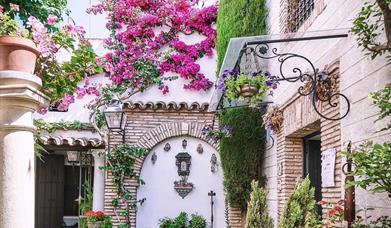 Festival de los Patios de Córdoba