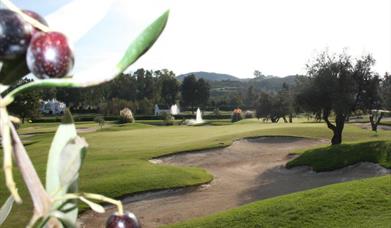 Club Mijas Golf Los Olivos