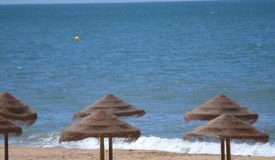 Apartamento Acuario II