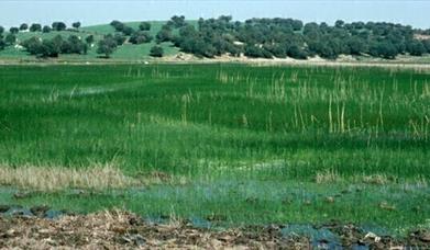 Lagunas de las Canteras y el Tejón