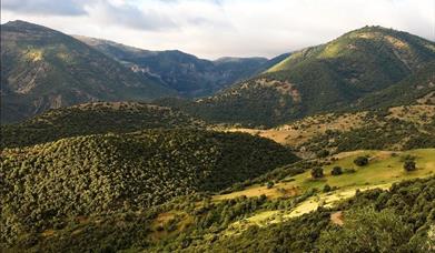 Cortijo del Moralejo