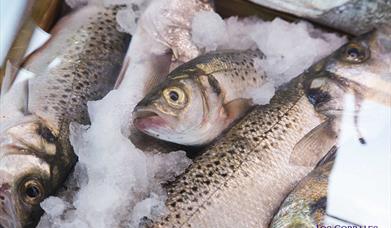 RESTAURANTE LOS CORRALES