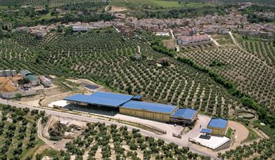 Cooperativa La Unión de Chilluévar