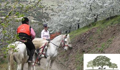 Cerezos en flor en Güéjar Sierra a caballo