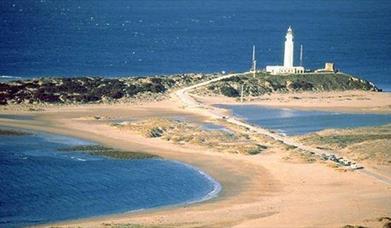 Camping Faro de Trafalgar