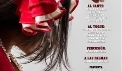 Partía Flamenca en Benamejí