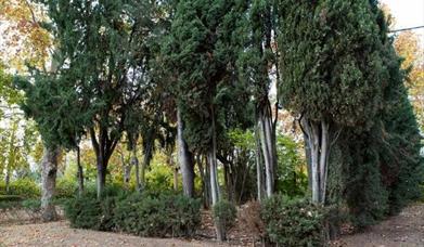 Jardines de Winthuysen Turismo sev.2