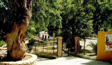 Apartamentos Vega del Río Genal