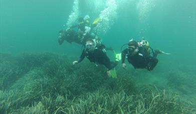 Subparke Turismo Activo