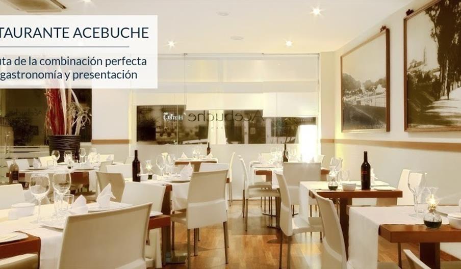 Acebuche