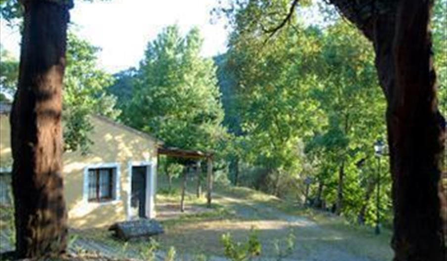 Camping San Juan