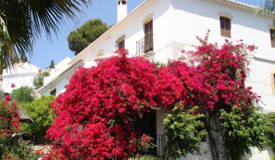 Hotel La Tartana